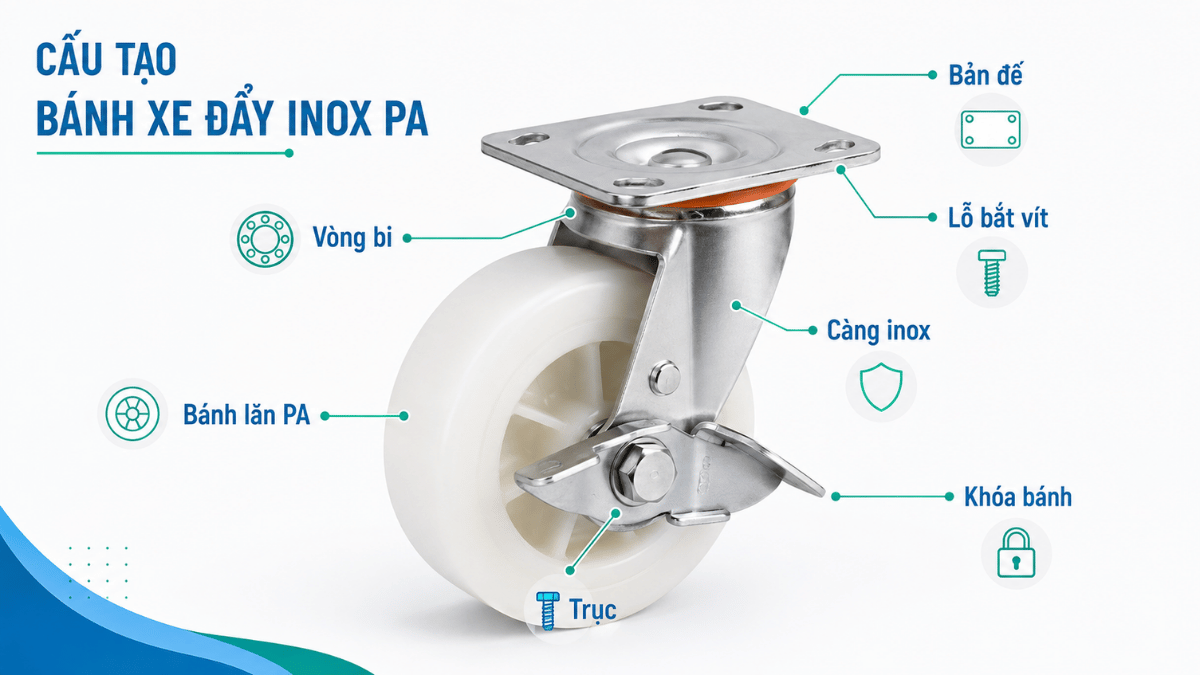 Cấu tạo bánh xe đẩy inox PA gồm bánh lăn, càng xe, bản đế và trục
